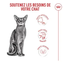 Royal Canin Chat Exigent Fussy