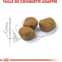 Royal Canin Chat Fit 32 - 2 kg