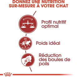Royal Canin Chat Fit 32 - 2 kg