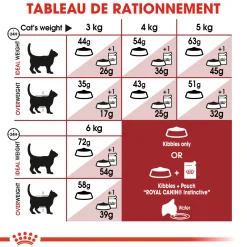 Royal Canin Chat Fit 32 - 4 kg