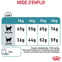 Royal Canin Chat Hairball Care