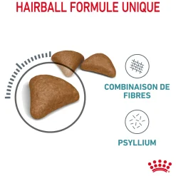 Royal Canin Chat Hairball Care