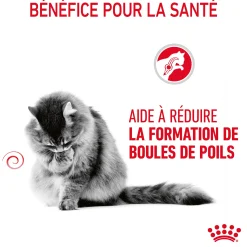 Royal Canin Chat Hairball Care
