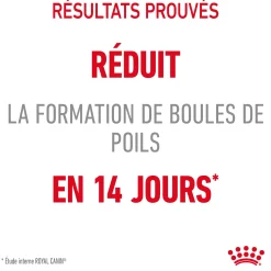 Royal Canin Chat Hairball Care