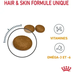 Royal Canin Chat Hair & Skin