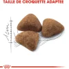 Royal Canin Chat Indoor