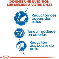 Royal Canin Chat Indoor