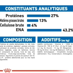 Royal Canin Chat Indoor