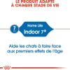 Royal Canin Chat Indoor +7