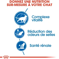 Royal Canin Chat Indoor +7