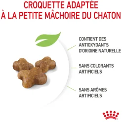 Royal Canin Chat Kitten