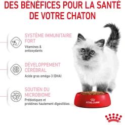 Royal Canin Chat Kitten