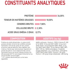 Royal Canin Chat Kitten