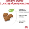 Royal Canin chat Kitten Sterelised