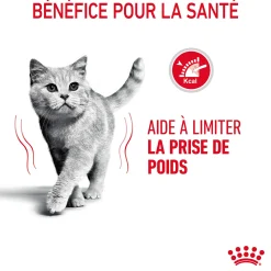 Royal Canin Chat Light - 3 kg