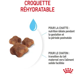 Royal Canin Chat Mother & Baby Cat