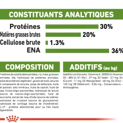 Royal Canin Chat Outdoor