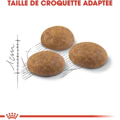 Royal Canin Chat Outdoor