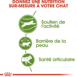 Royal Canin Chat Outdoor