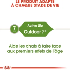 Royal Canin Chat Outdoor +7
