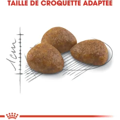 Royal Canin Chat Outdoor +7