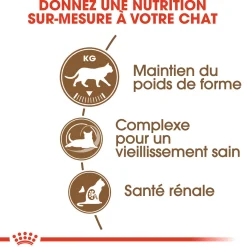 Royal Canin Chat Senior Ageing Sterelised 12+