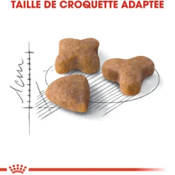 Royal Canin Chat Sensible 2 kg