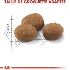 Royal Canin Chat Sterelised +7