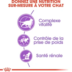 Royal Canin Chat Sterelised +7