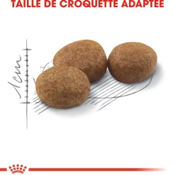 Royal Canin Chat Sterelized 2 kg
