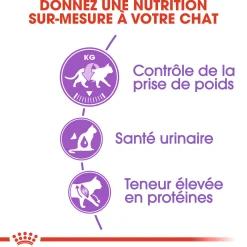 Royal Canin Chat Sterelized 10 kg