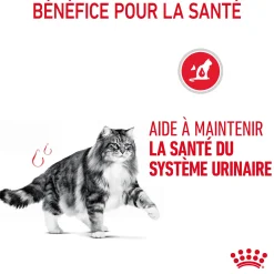 Royal Canin Chat Urinary Care