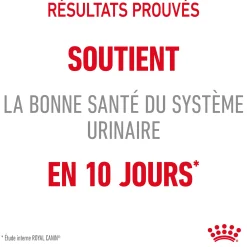 Royal Canin Chat Urinary Care