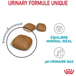 Royal Canin Chat Urinary Care