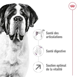Royal Canin Giant Adult