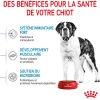 Royal Canin Giant Junior