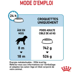Royal Canin Giant Junior