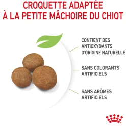 Royal Canin Giant Puppy