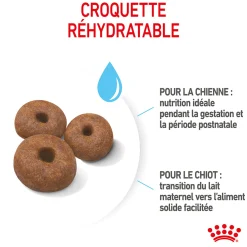 Royal Canin Giant Starter M&B