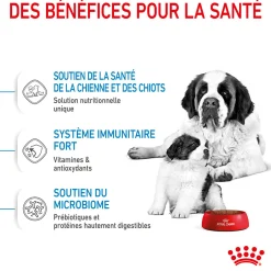 Royal Canin Giant Starter M&B