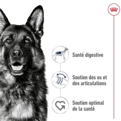 Royal Canin Maxi Adult 3 kg