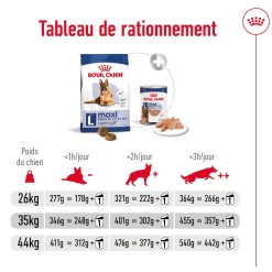 Royal Canin Maxi Ageing 8+ 15 kg