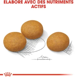 Royal Canin Maxi Dermaconfort 3 kg