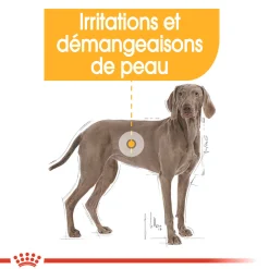 Royal Canin Maxi Dermaconfort 3 kg