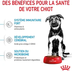 Royal Canin Maxi Junior 3 kg