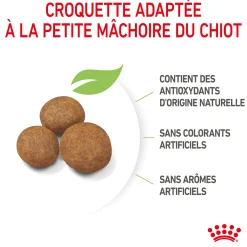 Royal Canin Maxi Junior 3 kg
