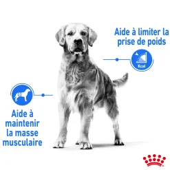 Royal Canin Maxi Light 12 kg