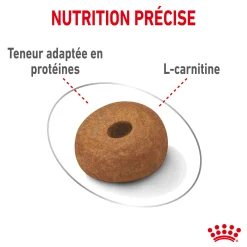Royal Canin Maxi Light 3 kg