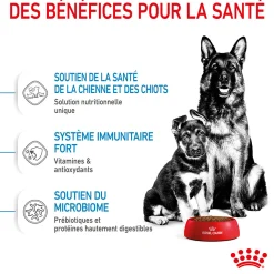 Royal Canin Maxi Starter M&B 15 kg