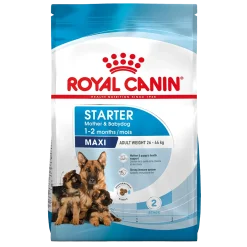 Royal Canin Maxi Starter M&B 4 kg
